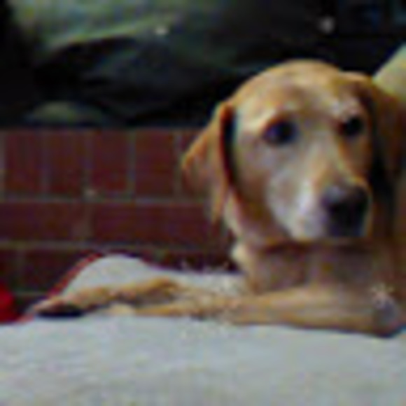 Meet your Posher, Claire - Picture 1 of 1